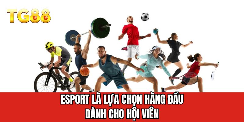 Esports là lựa chọn hàng đầu dành cho hội viên 